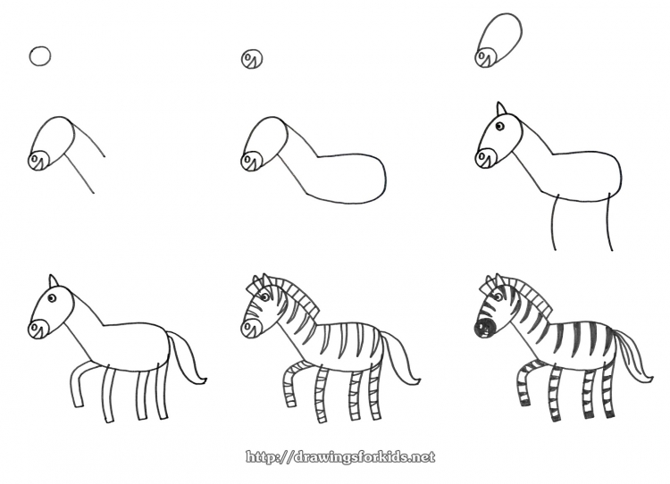 Поэтапное рисование зебры для дошкольников