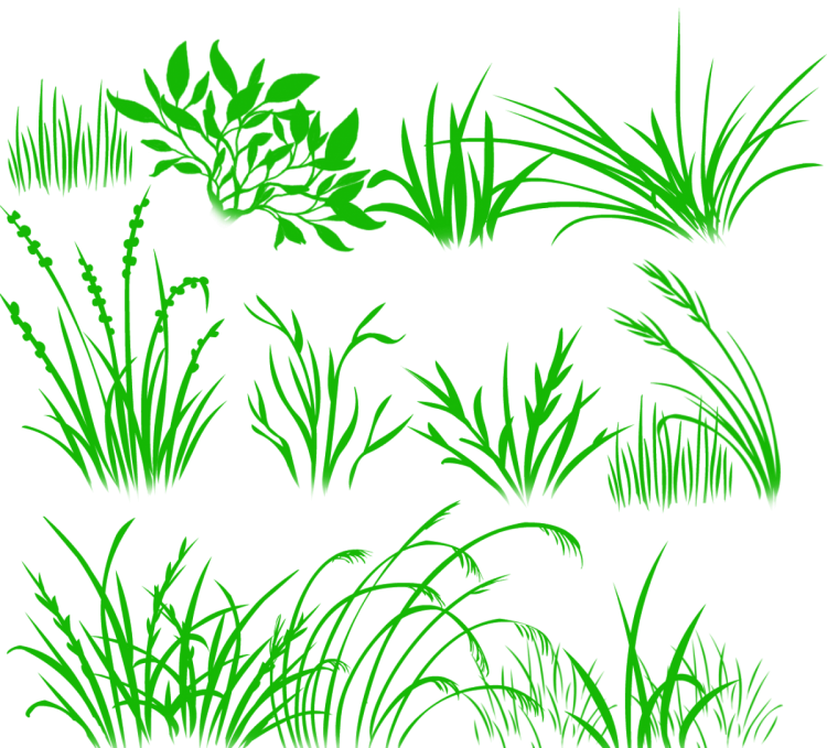 Нарисованная трава