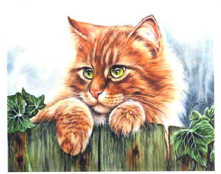 Рыжий кот нарисованный