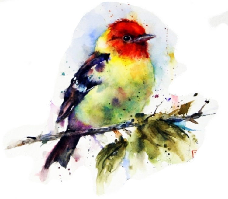 Птички нарисованные акварелью