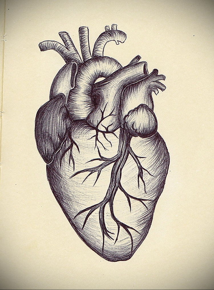 Как нарисовать красивое 3д сердце поэтапно – Рисуем невозможное сердце легко