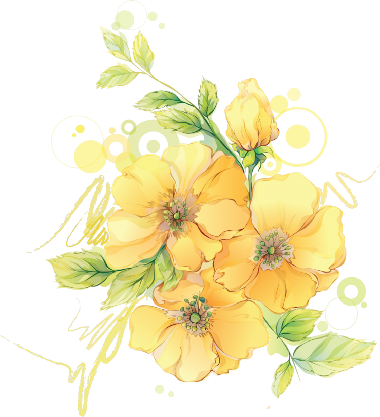 Желтые цветы нарисованные