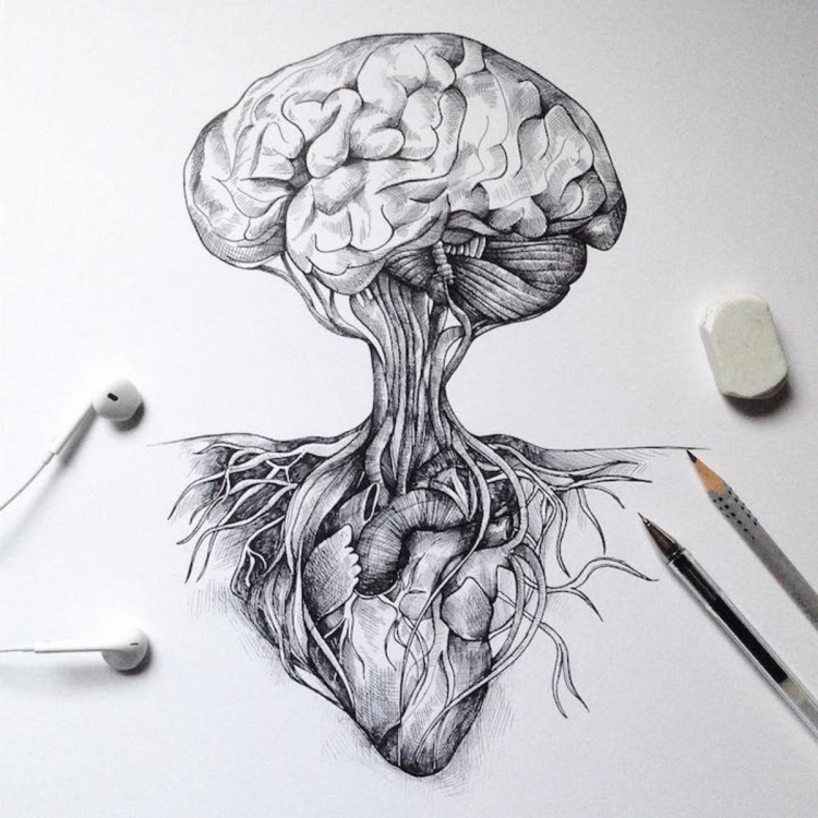 Мозг нарисованный карандашом