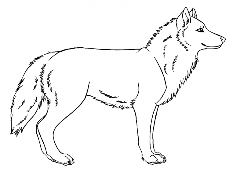 Нарисованный волк сбоку
