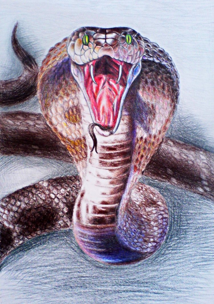 Змея нарисованная с открытым ртом
