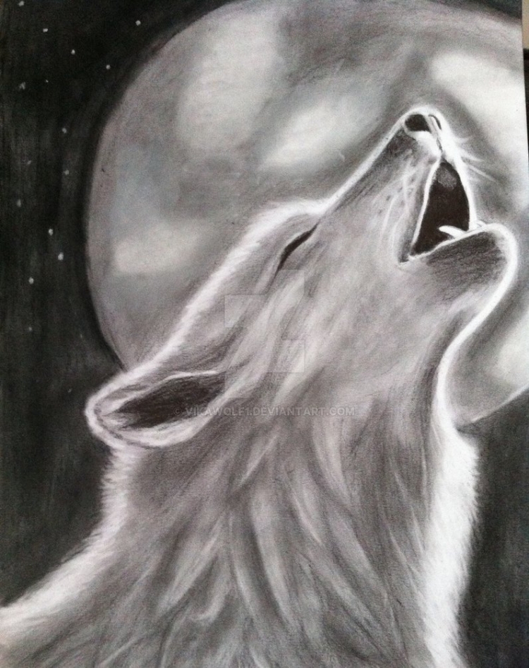 Нарисованный волк воющий на луну