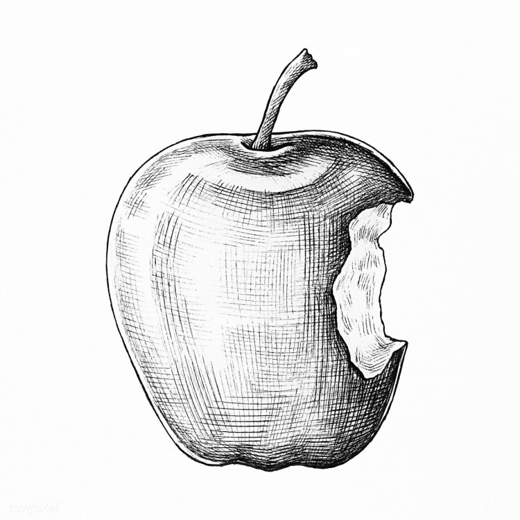 Яблоко откусанное нарисованное