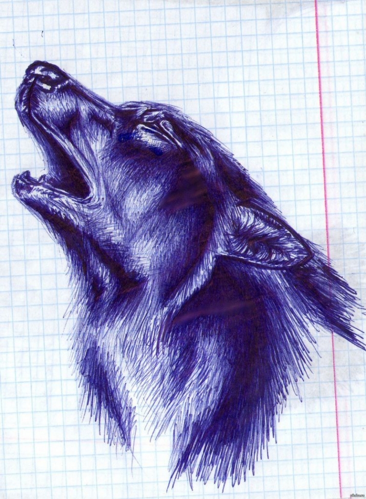 Волк нарисованный ручкой