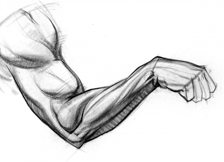 Нарисованная мускулистая рука