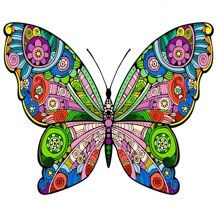 Бабочка раскраска цветная