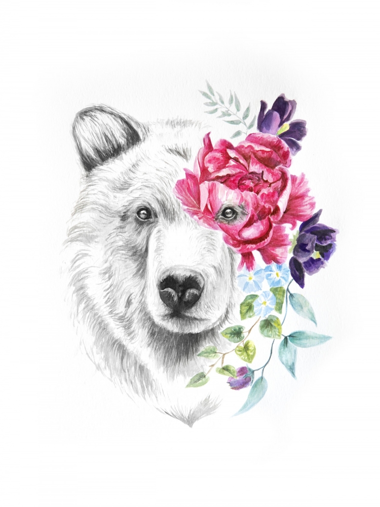 Медведь эскиз цветной