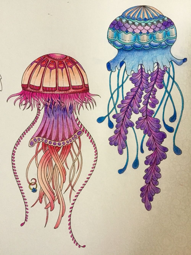 Медуза цветными карандашами