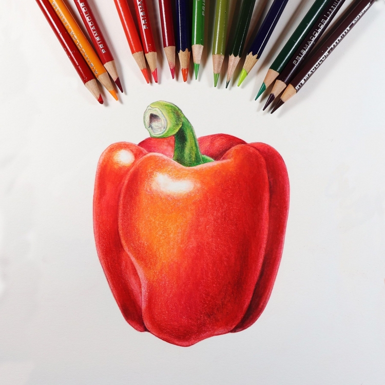 Перец цветными карандашами