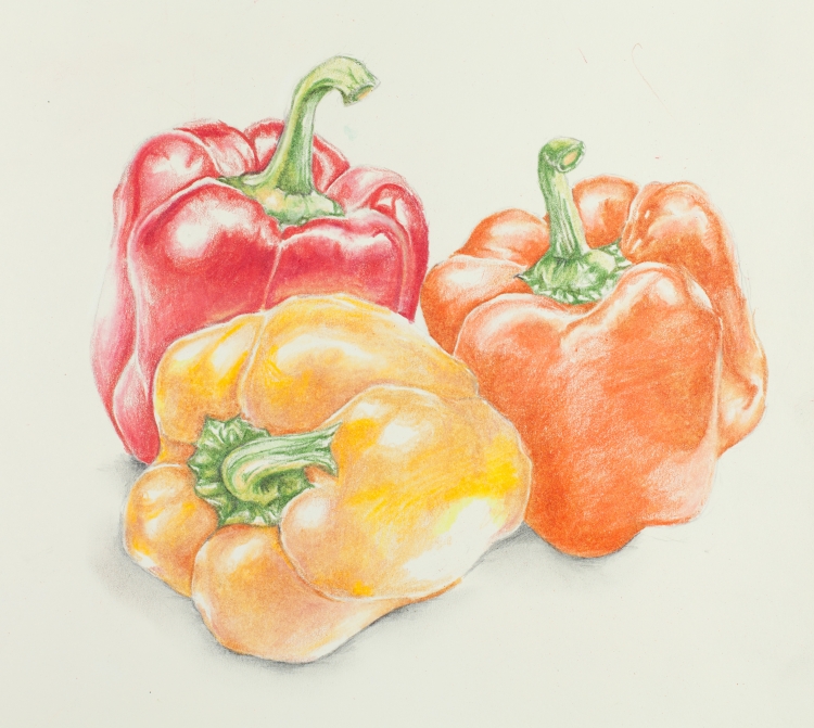 Овощи и фрукты цветными карандашами