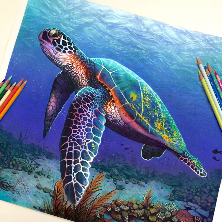 Черепаха цветными карандашами