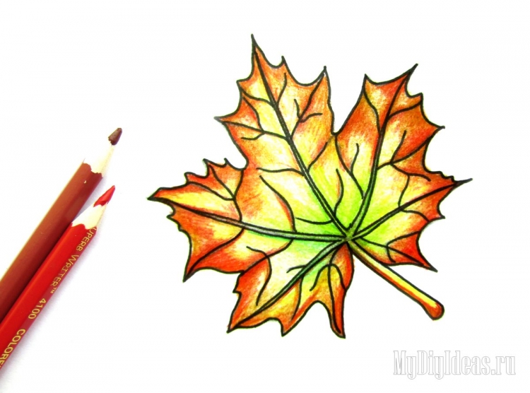 Кленовые листья цветными карандашами