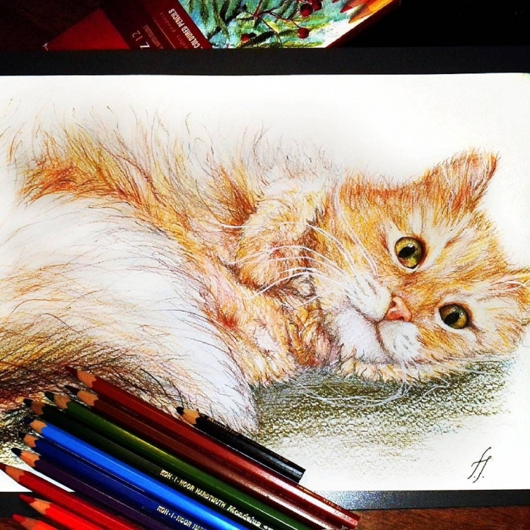 Рыжий кот цветными карандашами