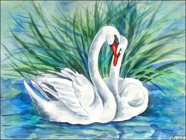 Лебедь рисунок карандашом цветной