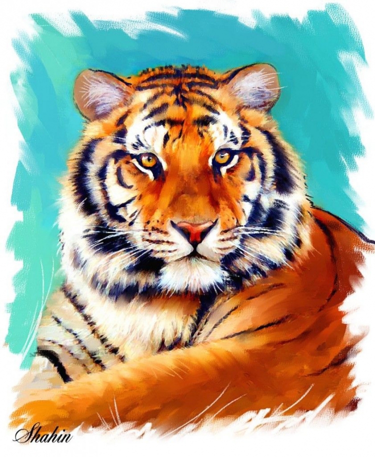 Тигр иллюстрация