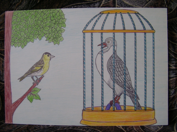 Иллюстрация к басне Чиж и голубь