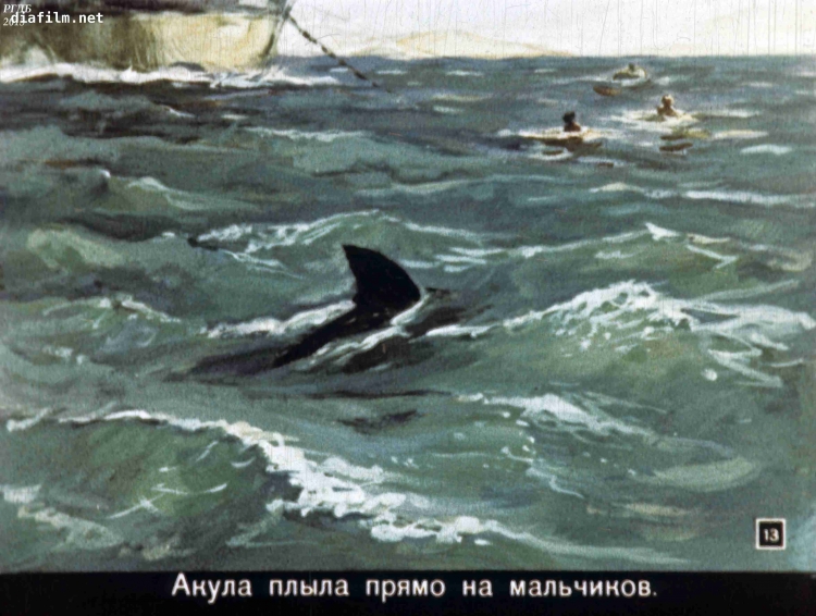 Лев толстой акула иллюстрации