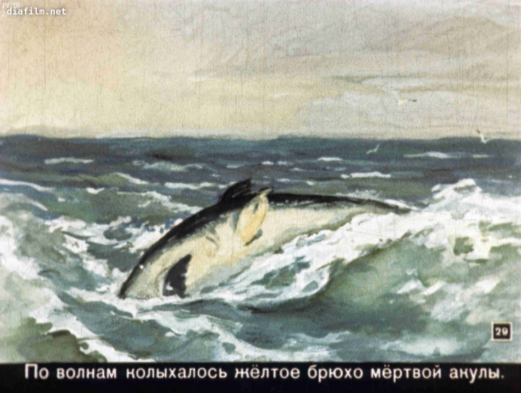 Иллюстрации к рассказу акула л.н Толстого