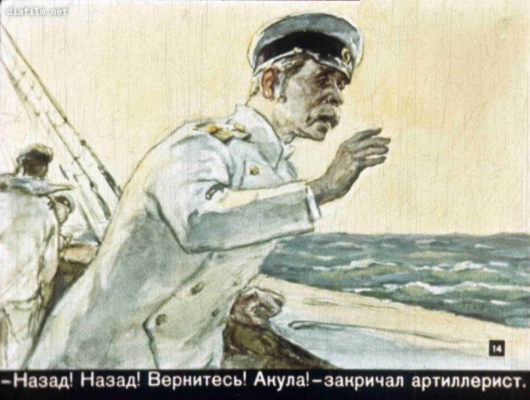 Акула толстой купальня в Парусе