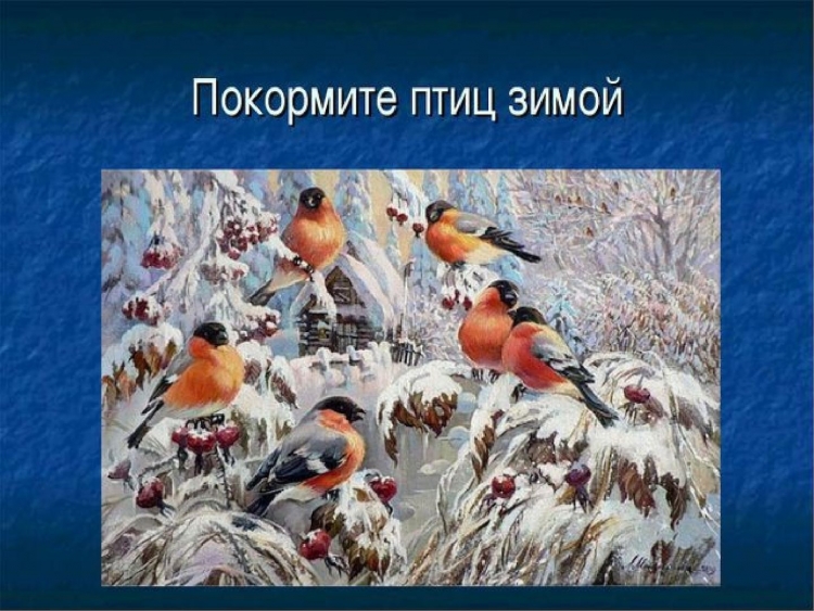 Покормите птиц зимой
