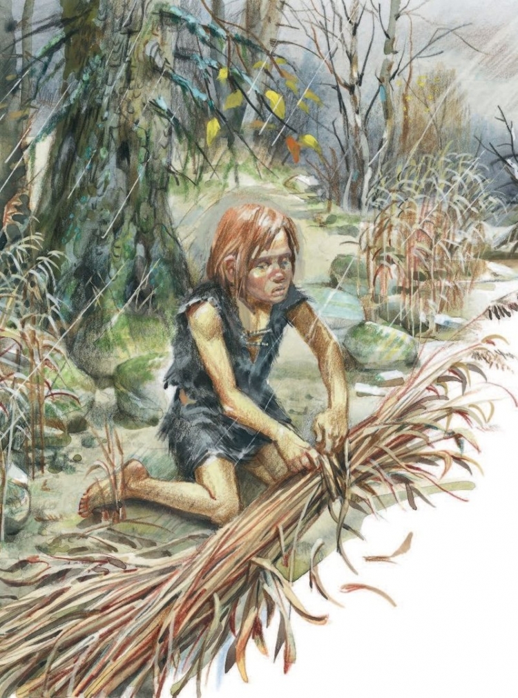 Иллюстрации к книге приключения доисторического мальчика