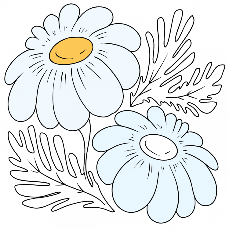 Раскраска дикий цветок ромашка для детей распечатать | Цветы