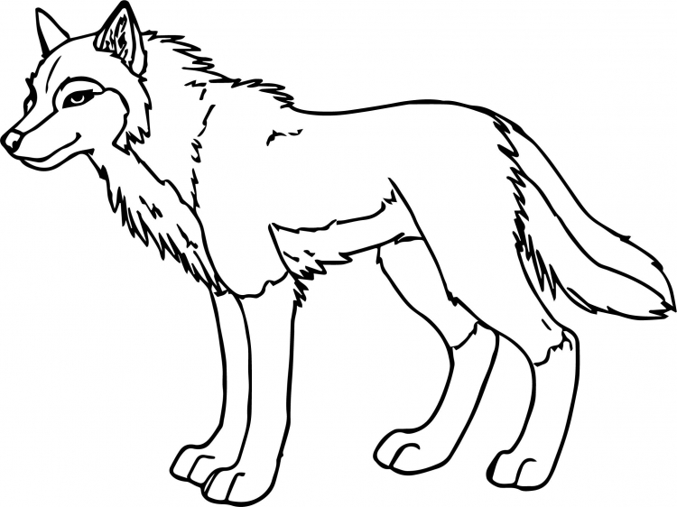 Раскраски волков и волчат для детей распечатать на А4 бесплатно