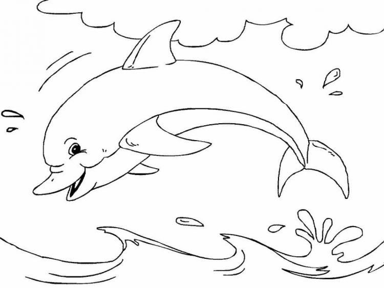 Раскраски дельфины для детей распечатать