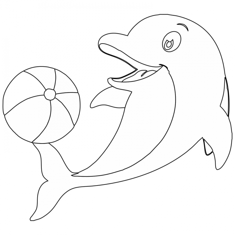 Раскраски Дельфины