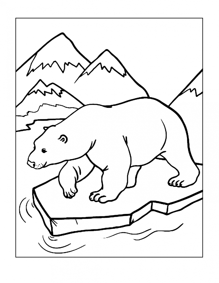 Раскраска белый медведь