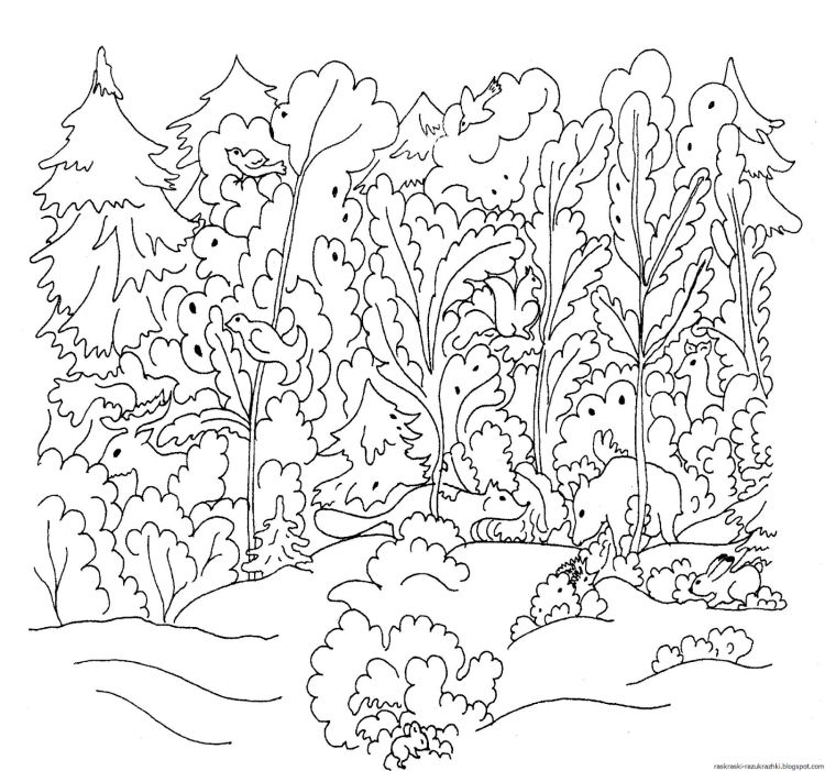 Раскраска лес для детей