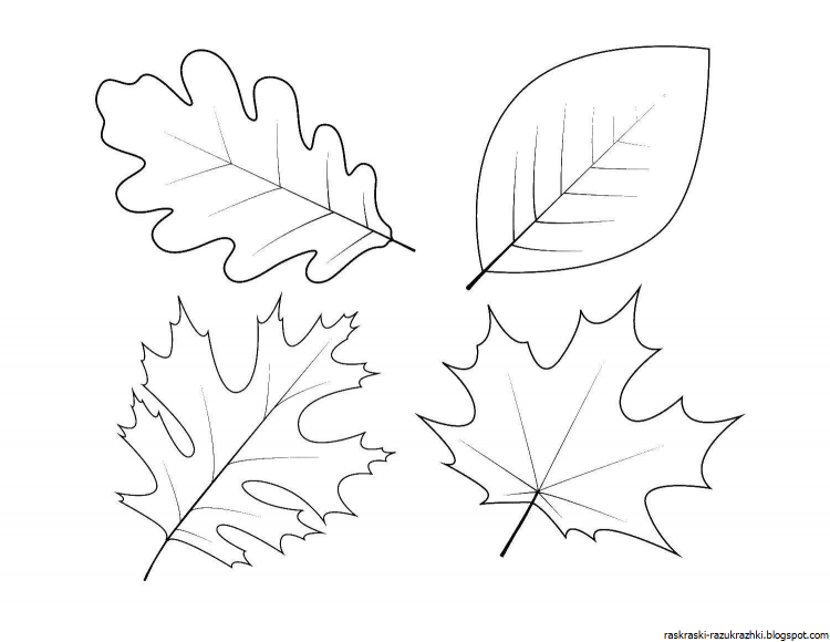 Раскраски листьев для детей | Распечатать бесплатно