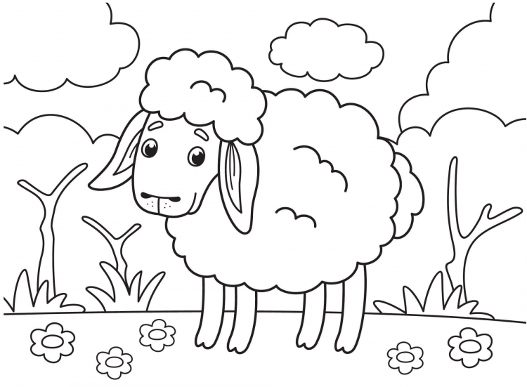 Рисунок овечки