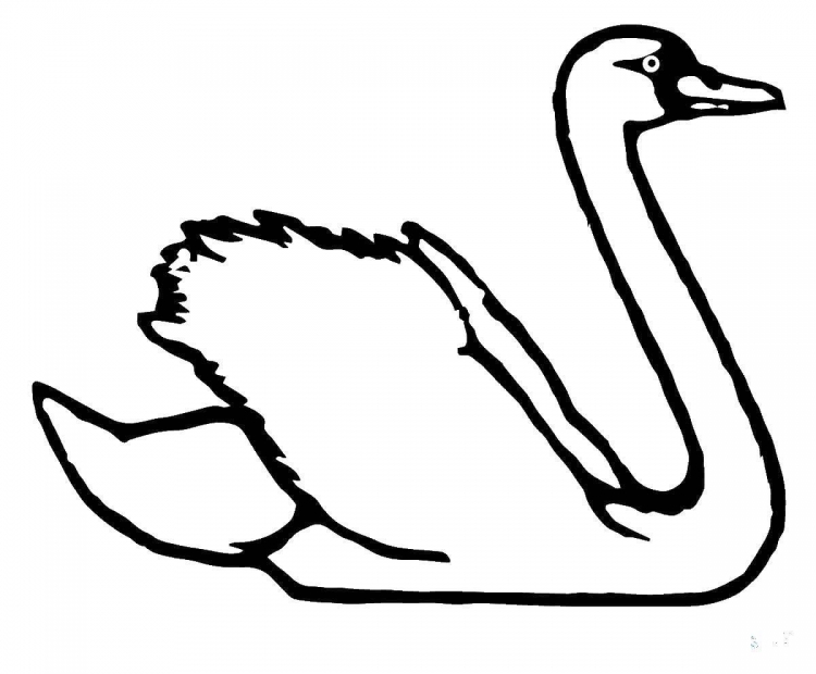 «Лебедь» скачать раскраски