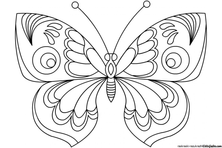 Бабочка рисунок для детей раскраска