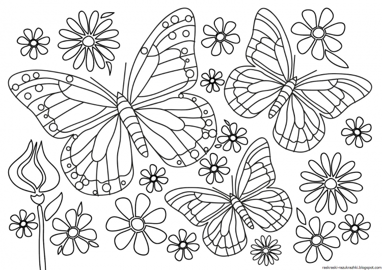 Акварельная раскраска Цветы и бабочки