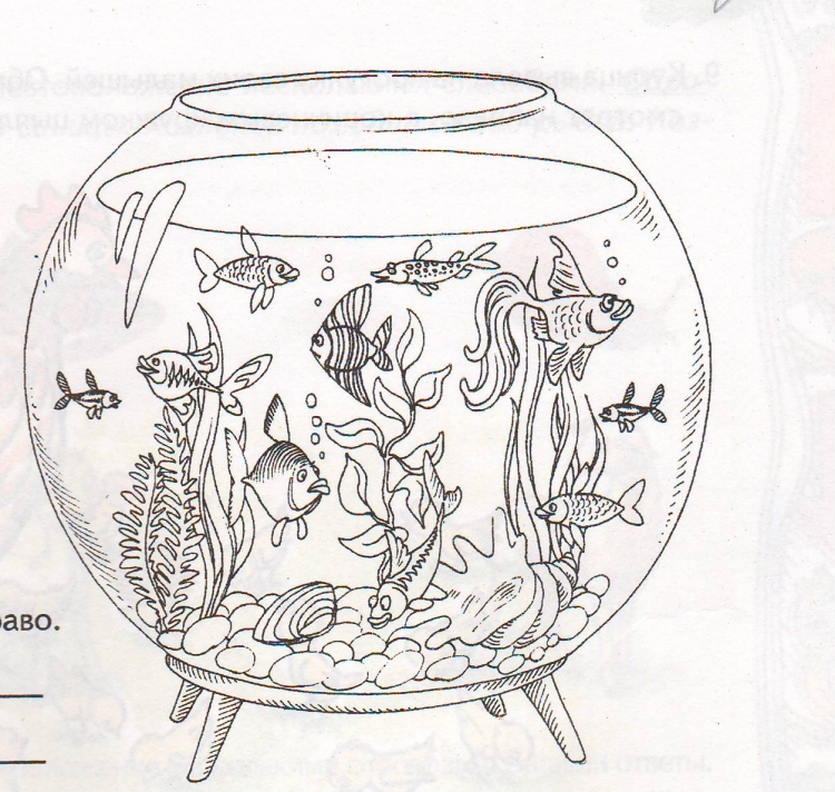 Рыбки в аквариуме детские рисунки подводного мира