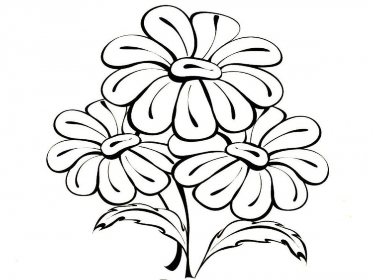 Цветок Ромашка раскраска для детей