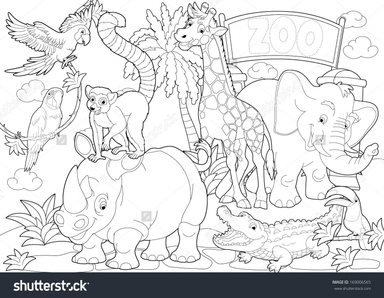Животные зоопарка раскраски для детей