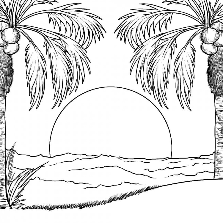 Раскраски пальма, Раскраска Остров и пальма .