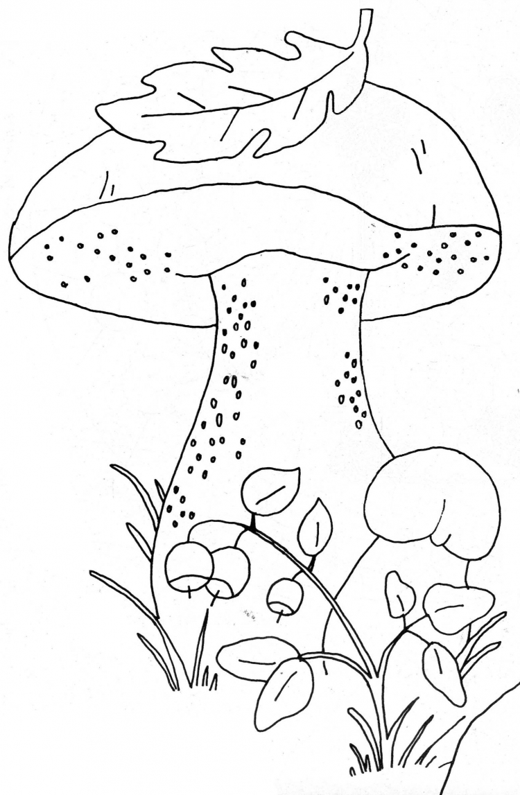 Раскраски для детей грибы и ягоды