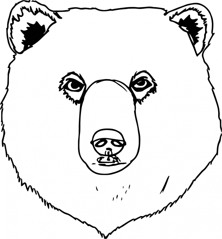 Голова медведя раскраска для детей