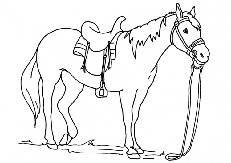 Раскраска лошадь с седлом для детей