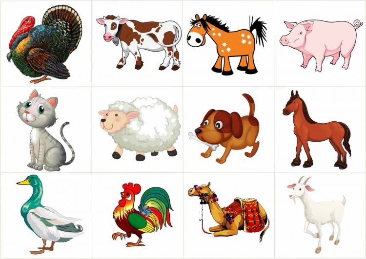 Красивые картинки животных для детей — нарисованные цветные (36 фото)