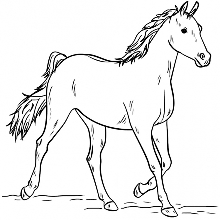 Лошадь рисунок карандашом для детей