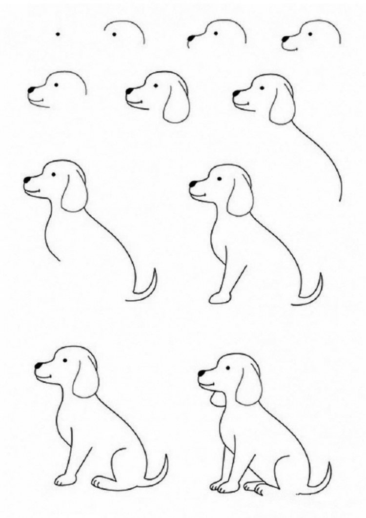 картинки пород собак для срисовки